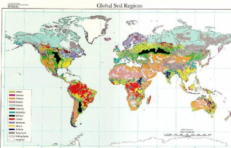 World Soil Map